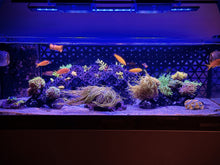 Load image into Gallery viewer, 3DR Frag Scape System