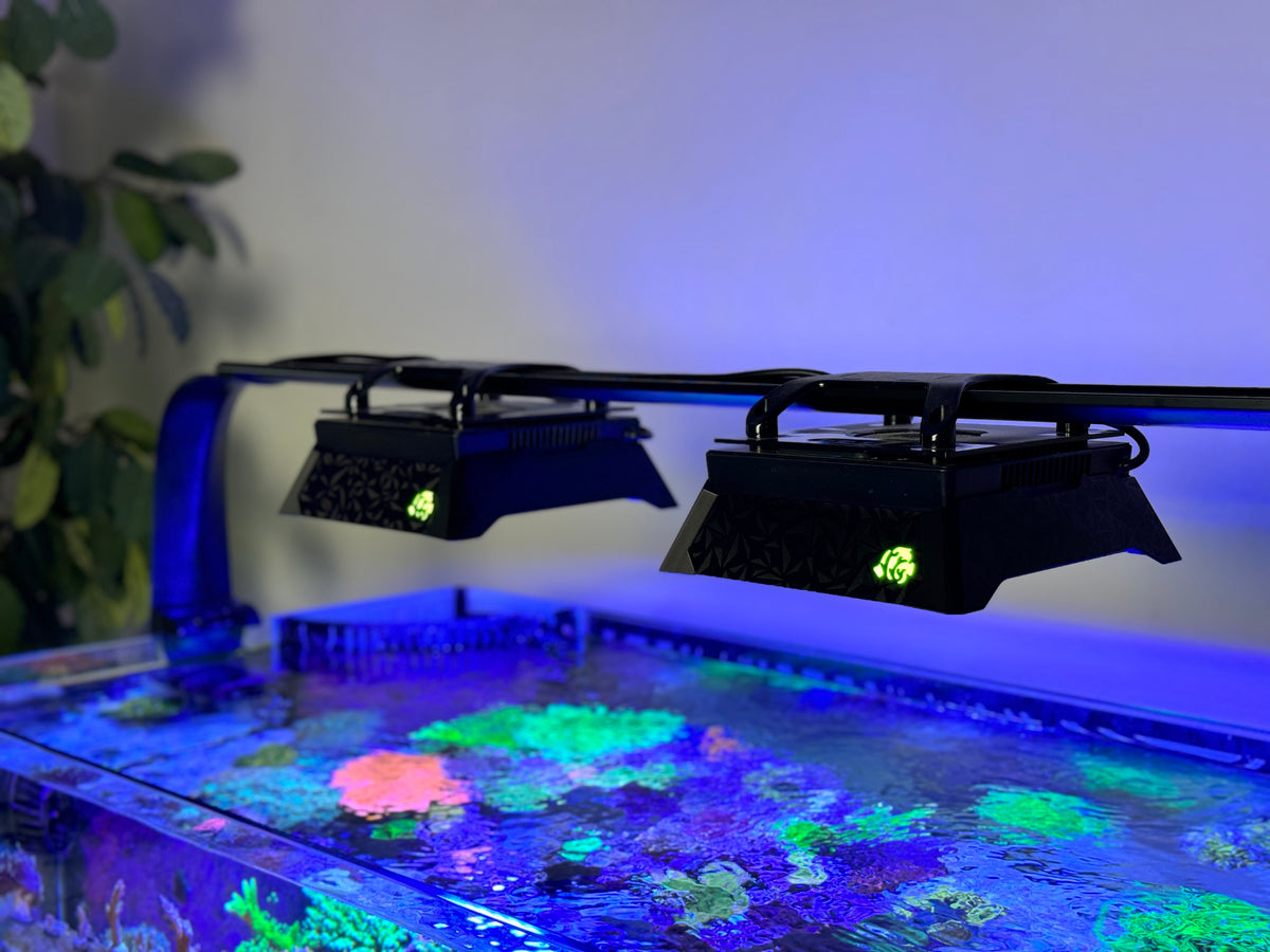 XR15 G5/6 Wide Light Shade – 3DReefing