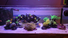 Load image into Gallery viewer, 3DR Frag Scape System