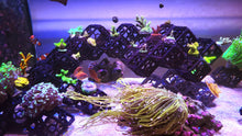 Load image into Gallery viewer, 3DR Frag Scape System