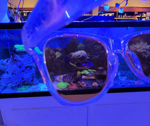 3DReefing Coral Glasses
