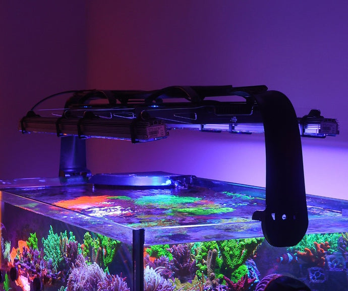 Radion to Orphek Light Bars 2.0